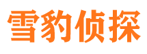 翠屏市私家调查